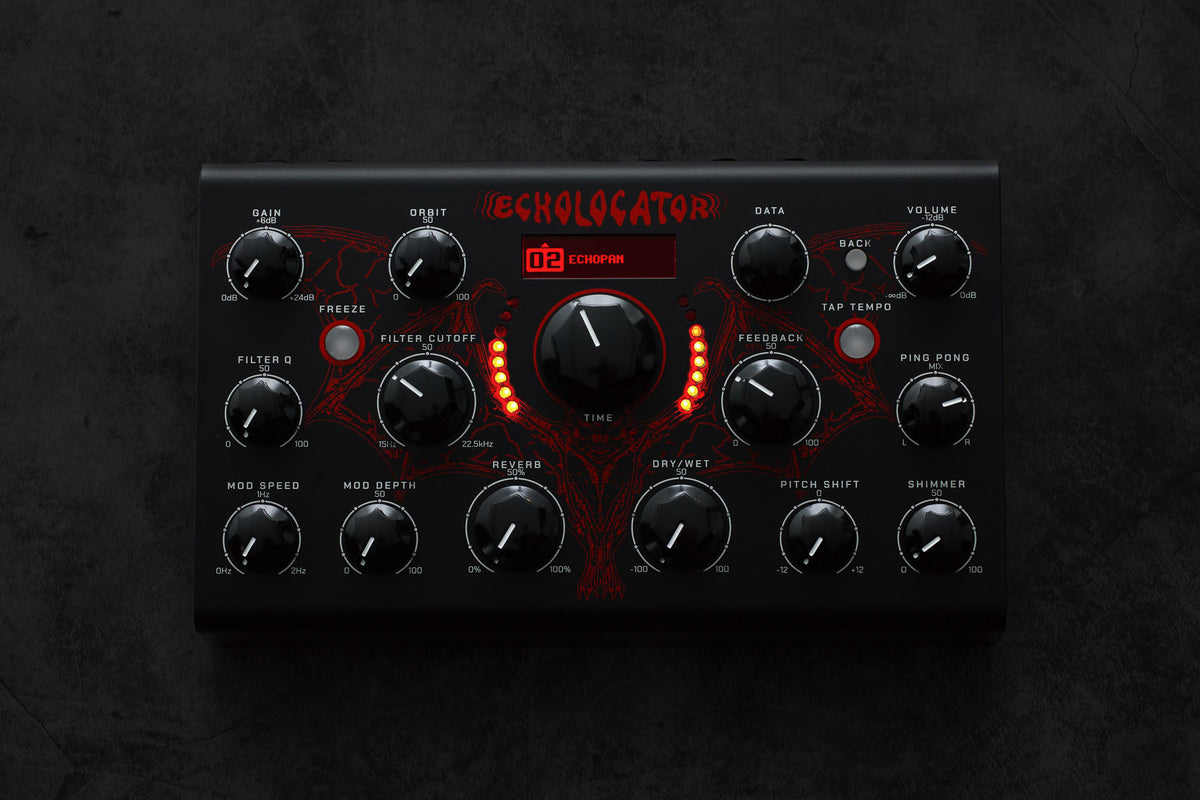 Erica Synths Echolocator effects pedal with black finish and control knobs, used for creating echo and delay effects in audio setups.